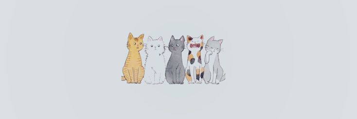 didisekodi's profile banner image