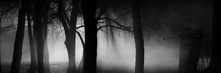 GMonster320's profile banner image