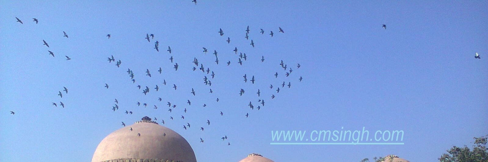cmsingh_'s profile banner image