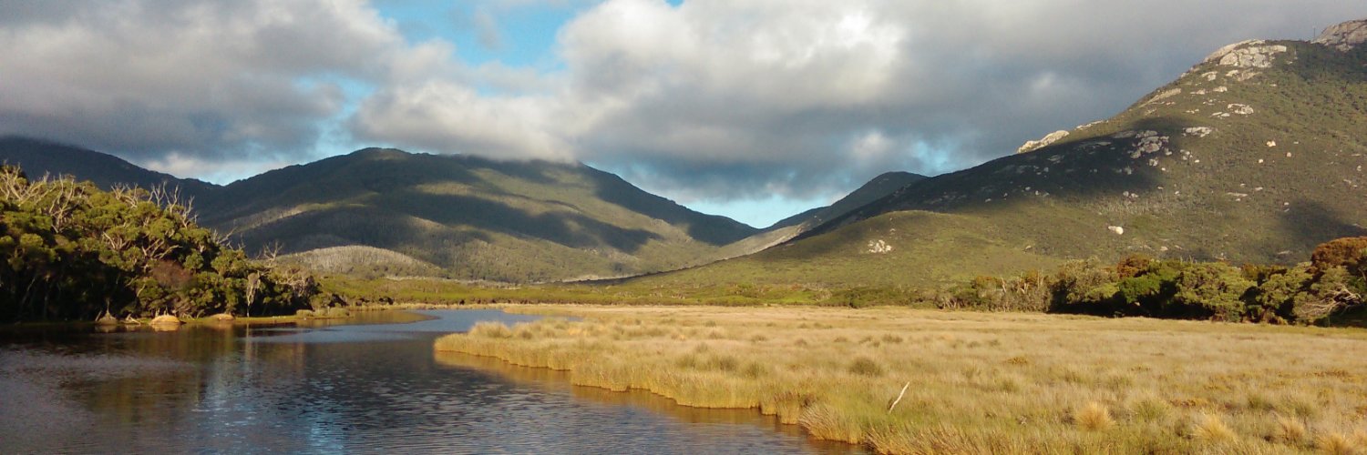 Emmanuel Tissera banner