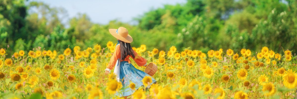 tonghua_ko's profile banner image