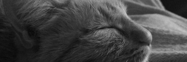 EdgarBorges7 Profile Banner