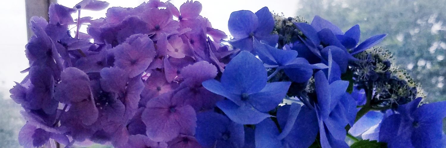 なかたかな banner