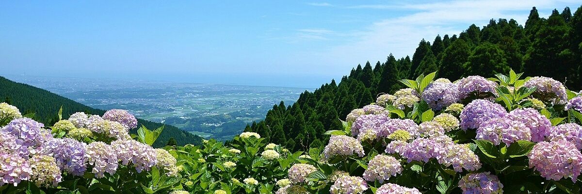 YOU_and_34's profile banner image