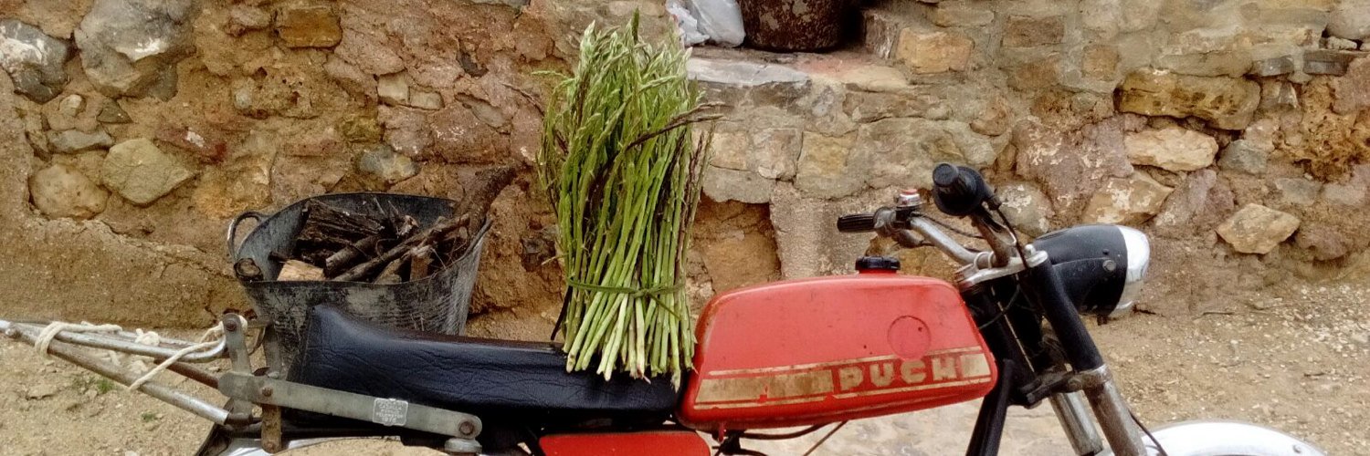 Rafael Sánchez banner