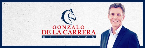 🎸 @carreragonzalo DIPUTADO 🎸 Profile Banner