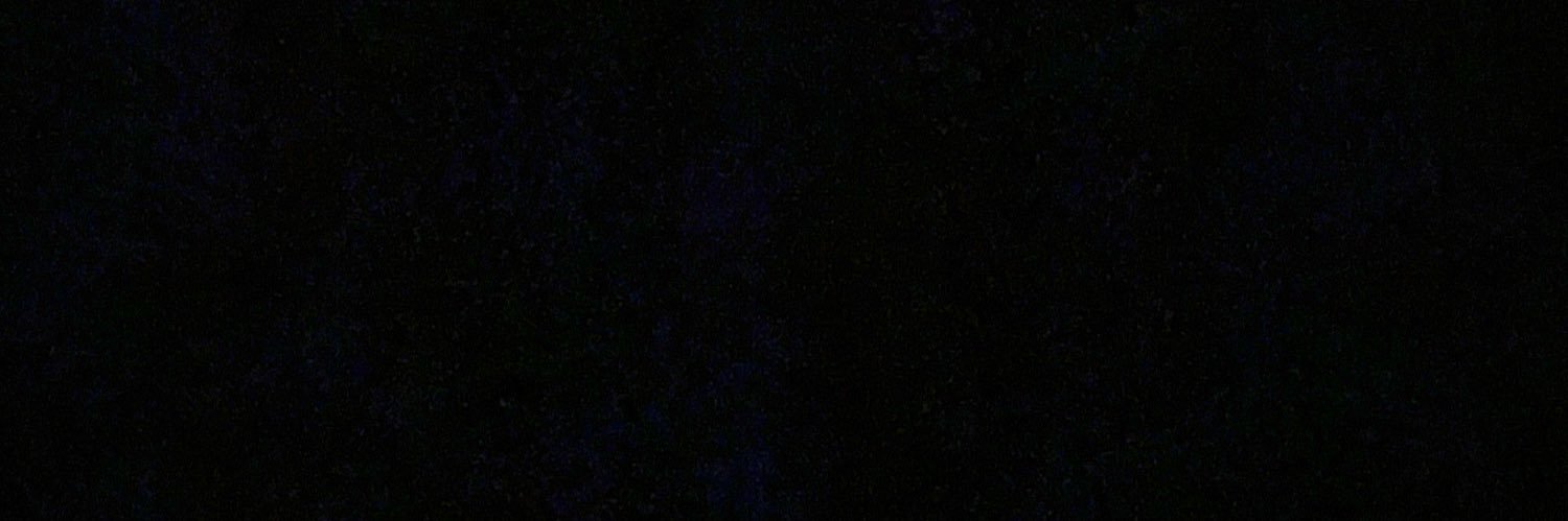 ilaela's profile banner image