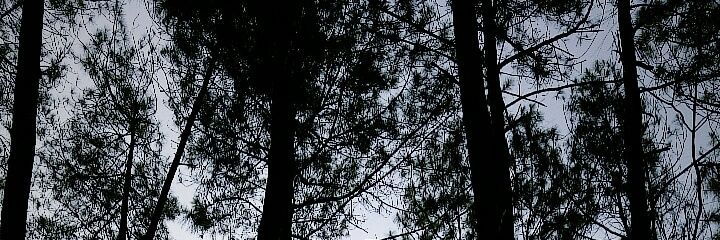 YESICAWW's profile banner image
