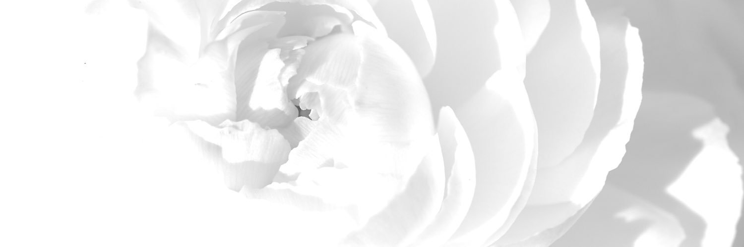 14___07's profile banner image