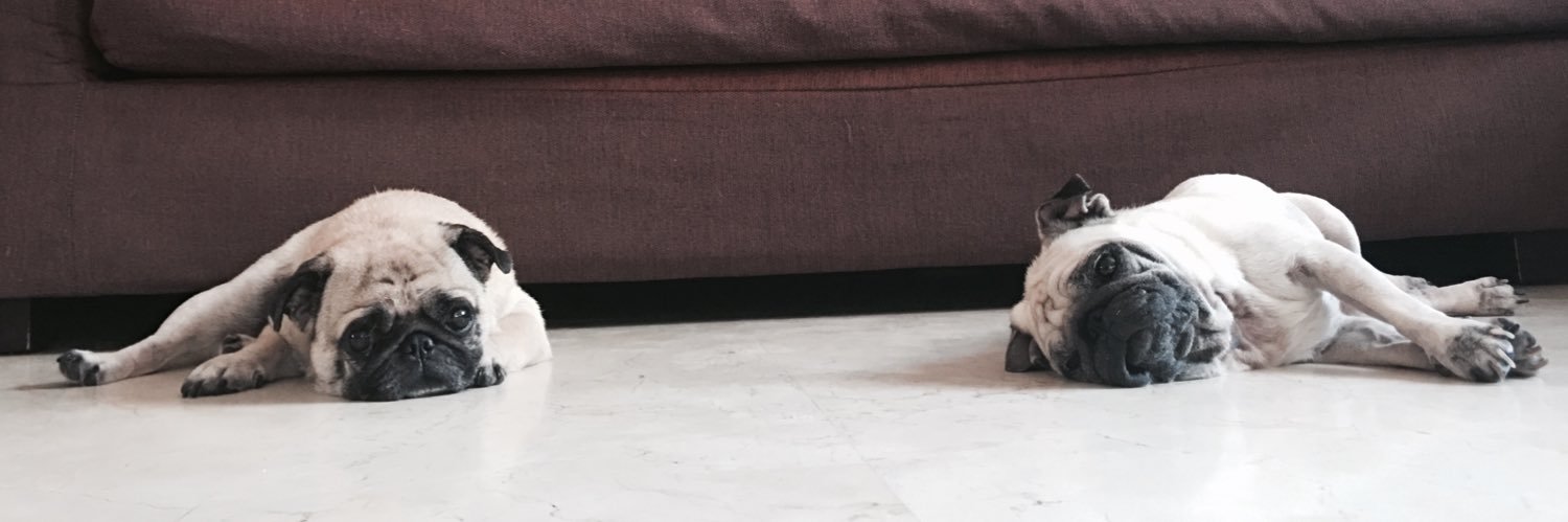 tofugeek's profile banner image