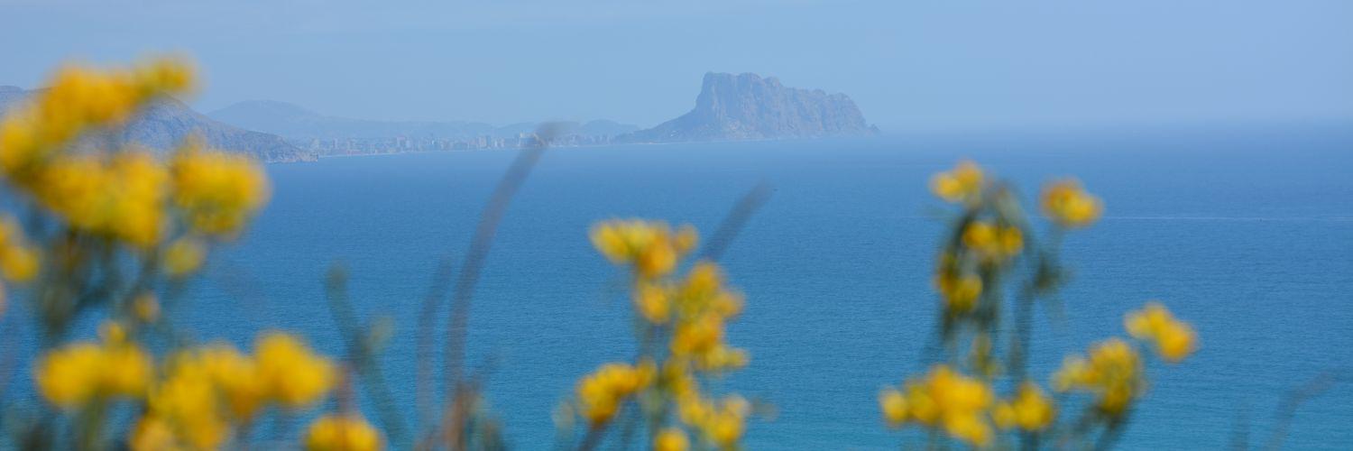 adrianiko's profile banner image