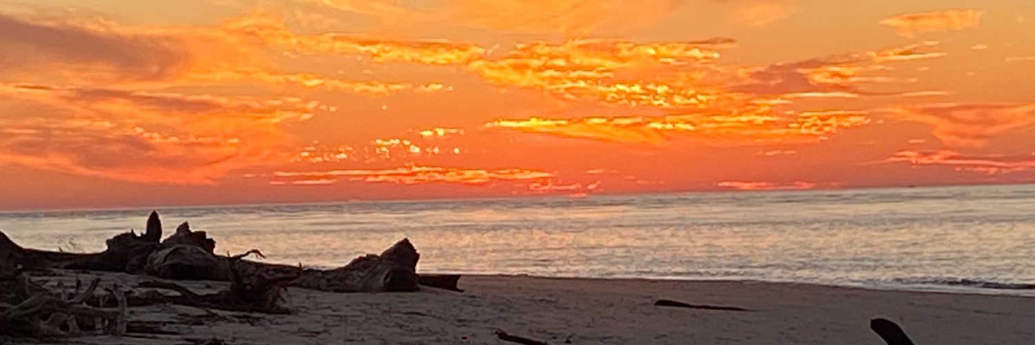 BethTillman's profile banner image