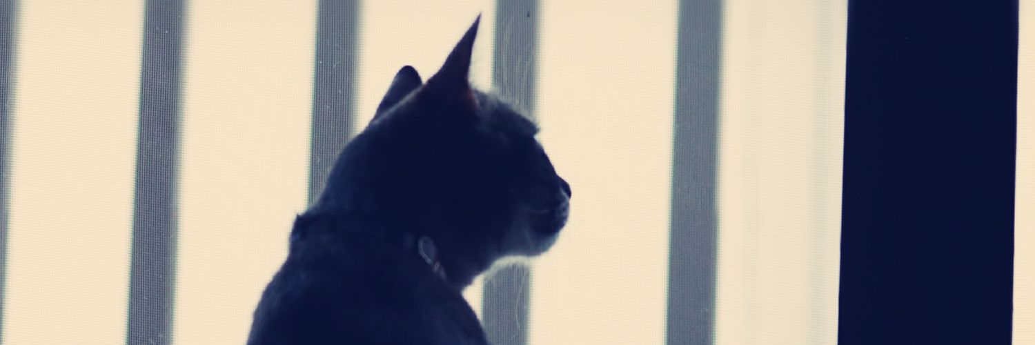 whisperyu's profile banner image