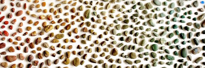 Emily Schwartzman banner