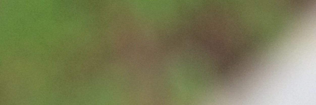 repullulat's profile banner image