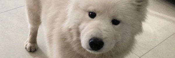 92jy__ Profile Banner