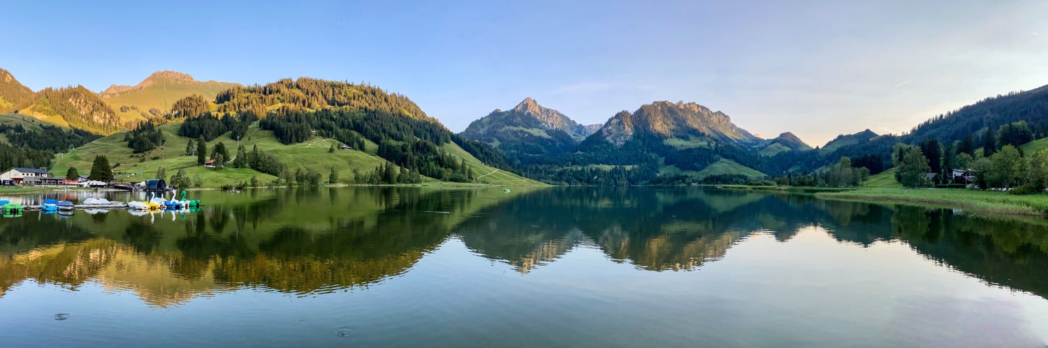 Fredi Lüthin banner