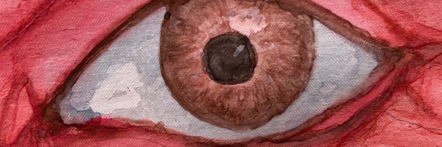 Ing. Super Shabo Johnson Shabs banner