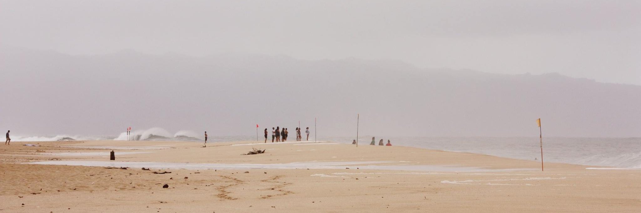 Vanessa Bourque banner