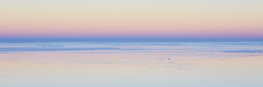 treehong's profile banner image
