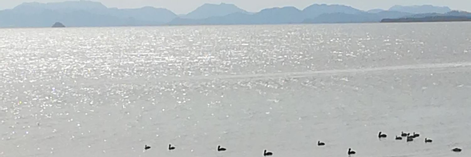 Tavocr3900's profile banner image