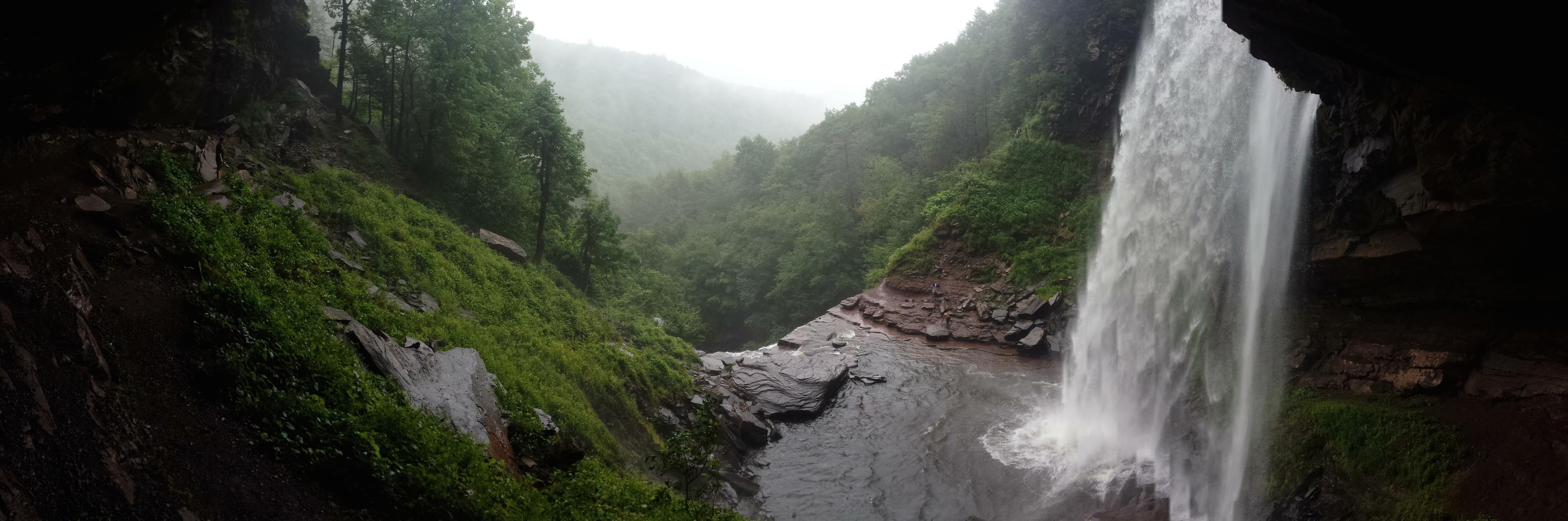 idiosyncretic banner