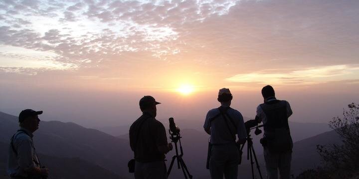 techbirder's profile banner image