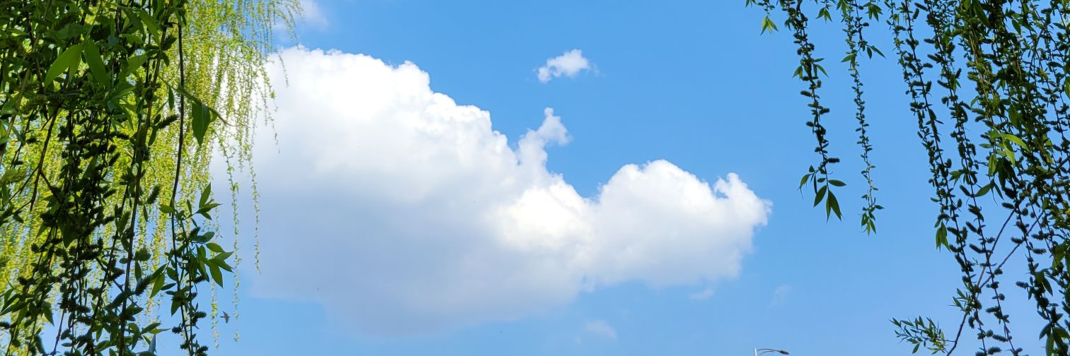 무우수 banner