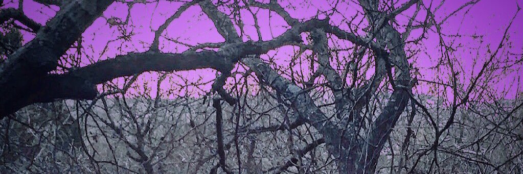 $dot loegz/dsr banner