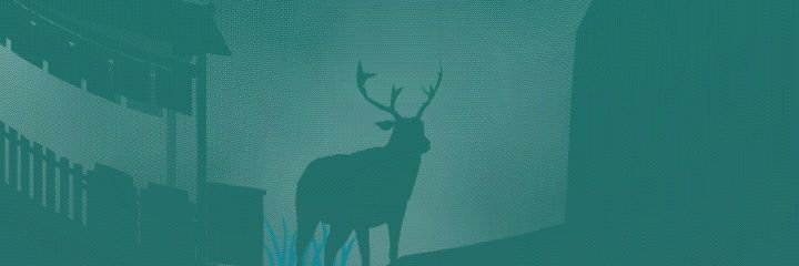 kumashi3336's profile banner image