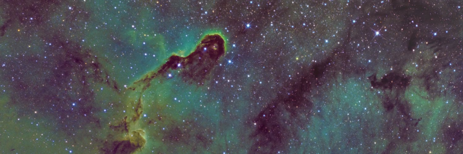 phelsumar's profile banner image