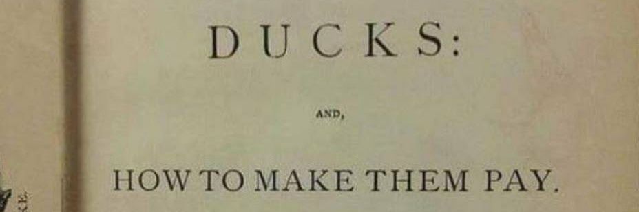 Notre-Doom de Paris banner