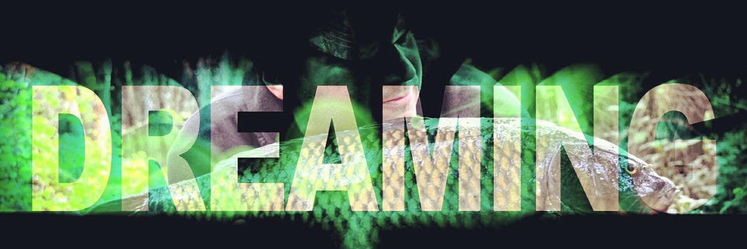 TeaLeaf1975's profile banner image
