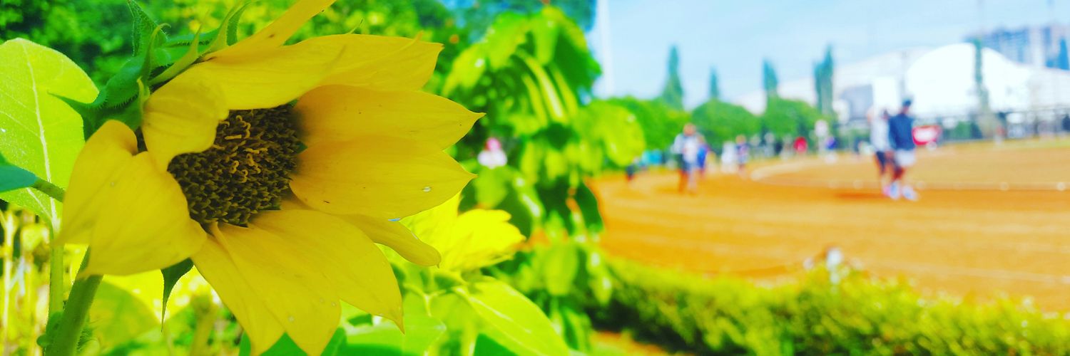 seyseyla's profile banner image