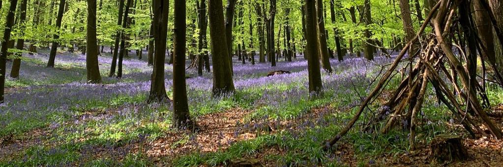 Chloe Stables banner