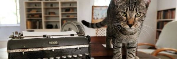 TimDornin's profile banner image