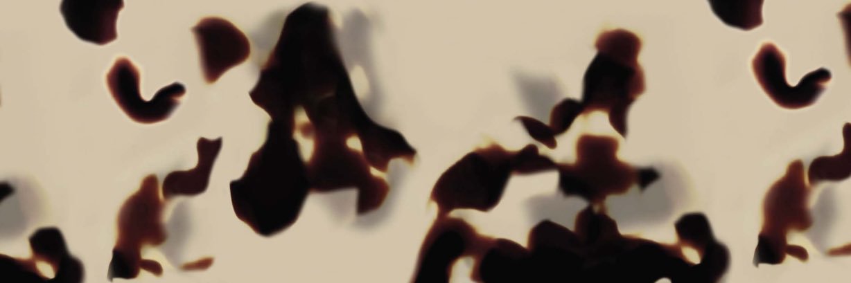 paula sutton reitzel ☮️ banner