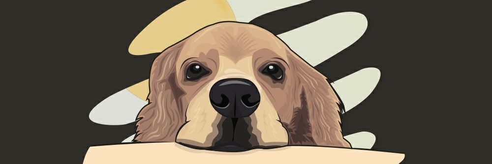 anabm22's profile banner image