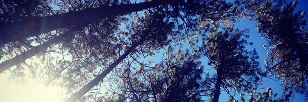 dAvIDbaRIzzA Profile Banner