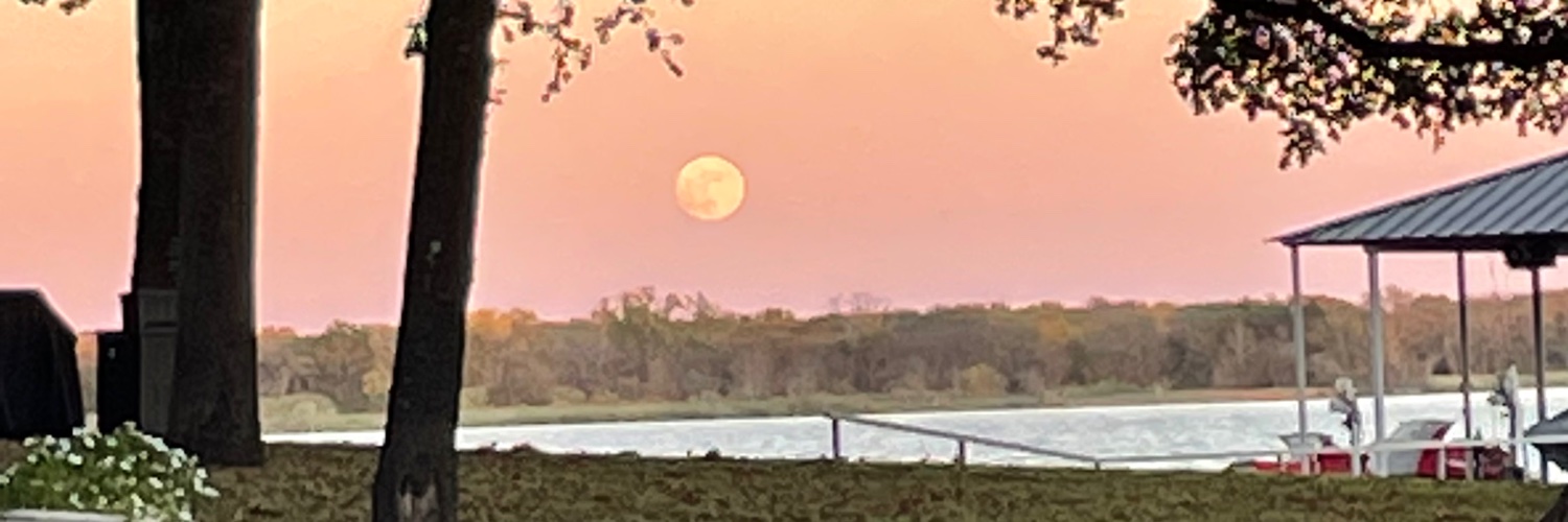 Cathypatterson's profile banner image