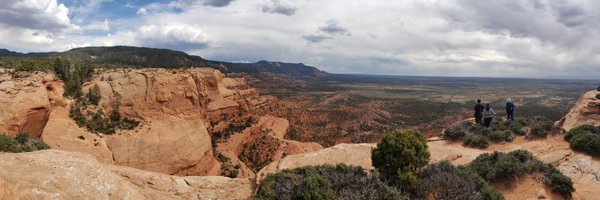 daybreakwarrior Profile Banner