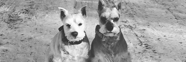 rjoers Profile Banner