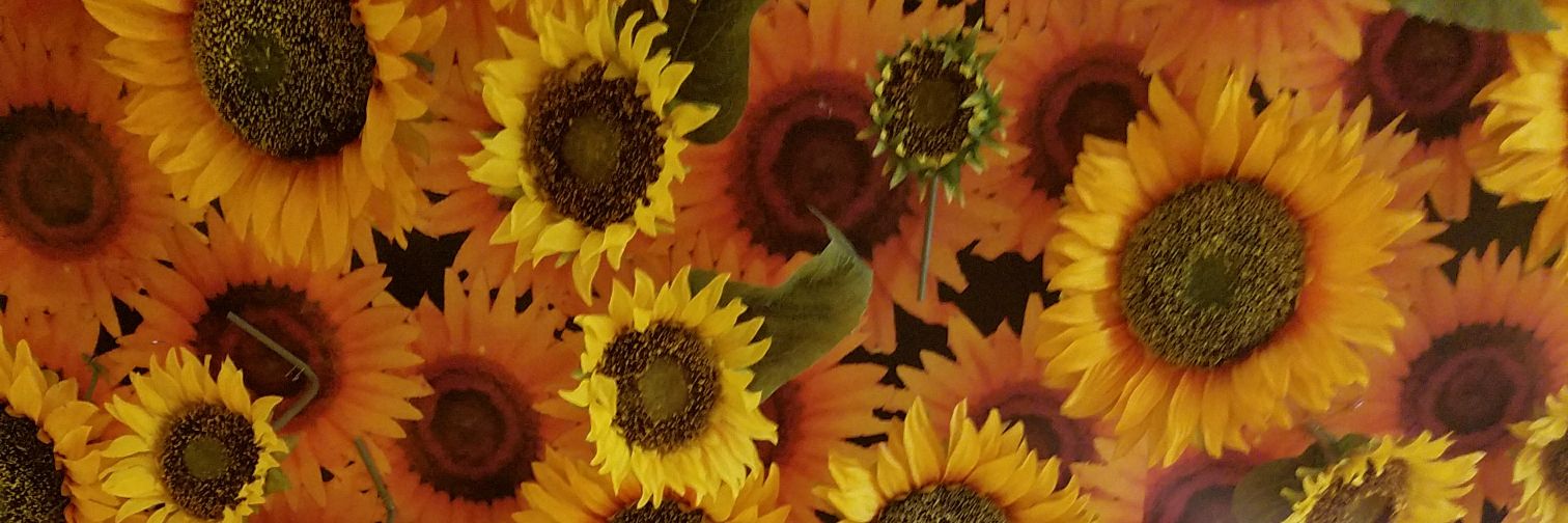 Den_g23's profile banner image