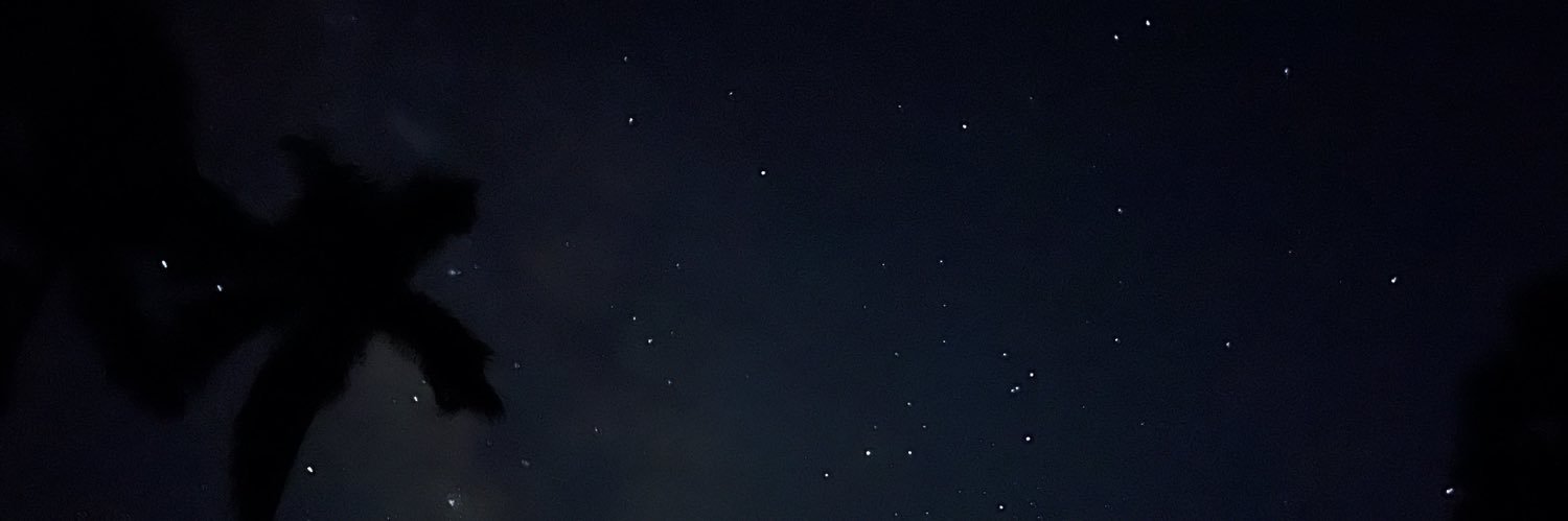 SandLiu's profile banner image