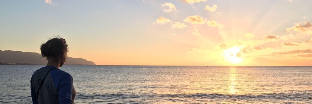 Kristin Skage banner
