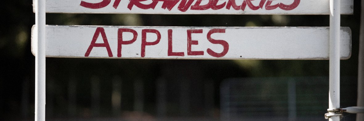 Pipfruit's profile banner image