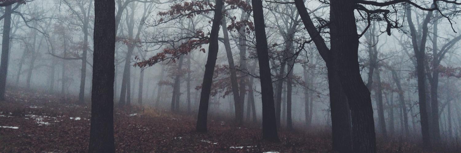 Danijela banner