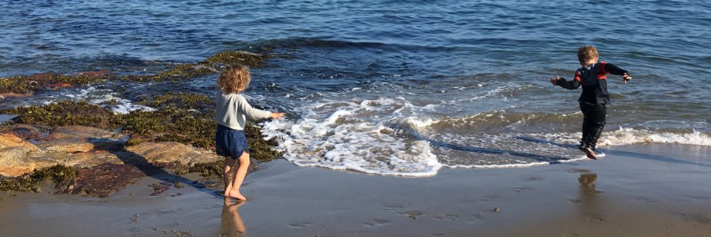 Michelle Goldberg banner