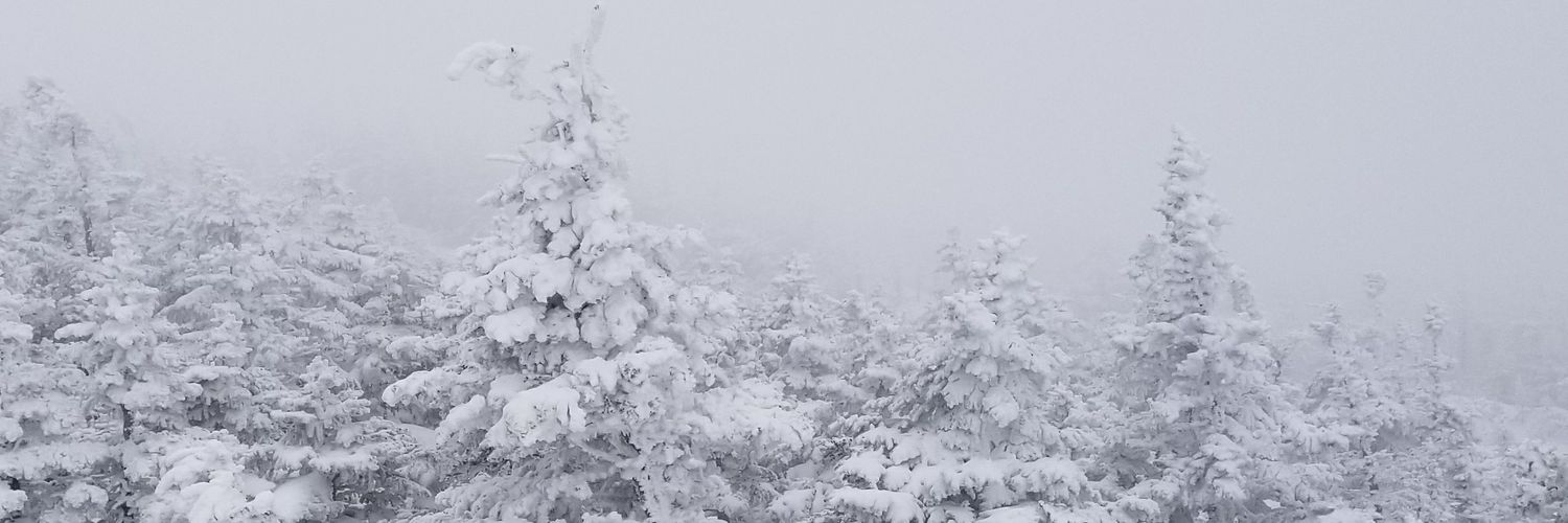 ConnorOColin's profile banner image