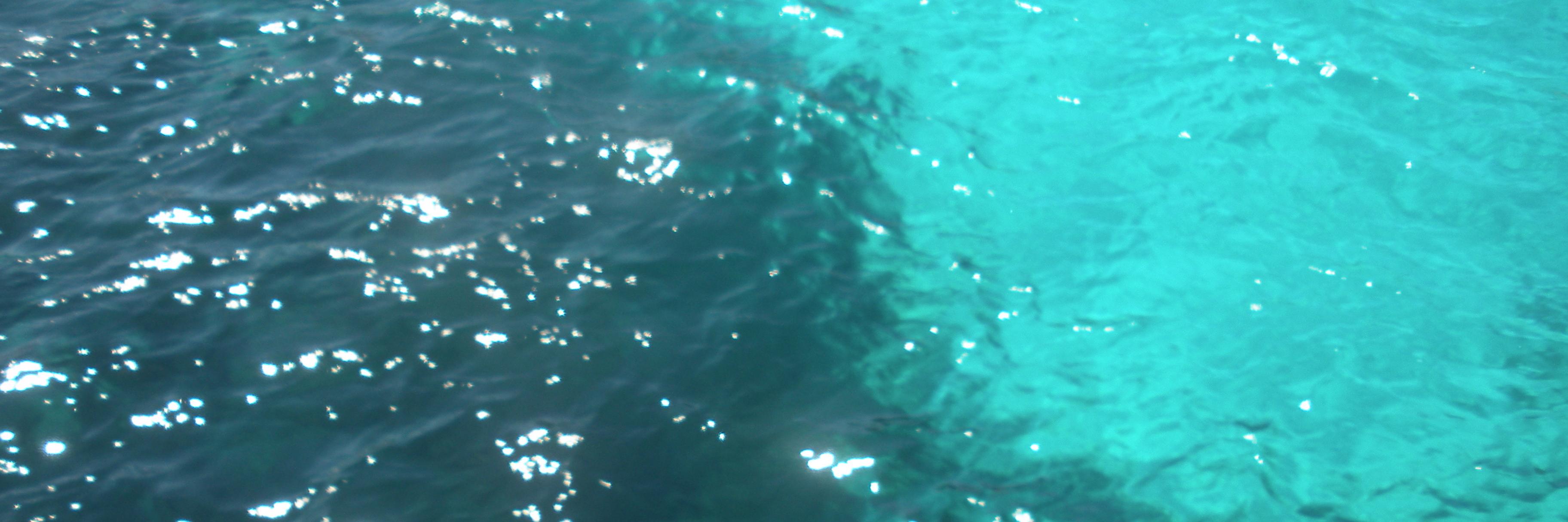 fran des banner